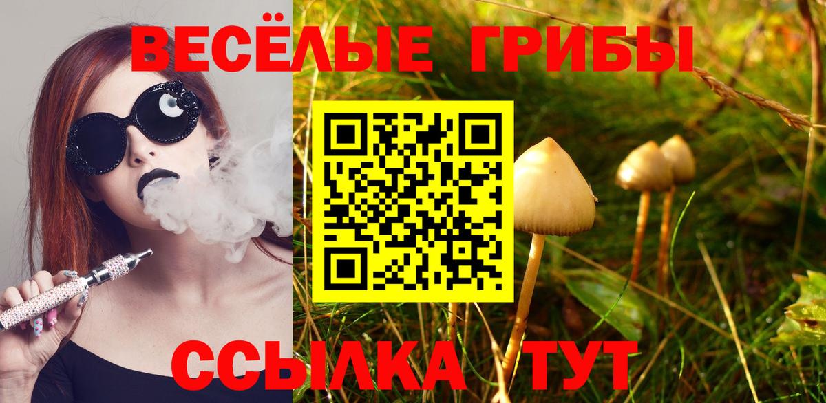 Псилоцибиновые грибы GOLDEN TEACHER Красногорск