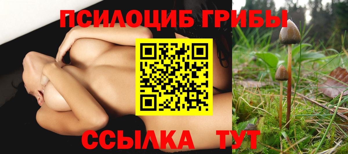 Красногорск  Псилоцибиновые грибы Psilocybine cubensis  Вход с VPN  Галлюциногенные грибы ЛСД 